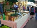 marche d ete voitures anciennes 064