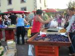 Marche d ete Bois 023