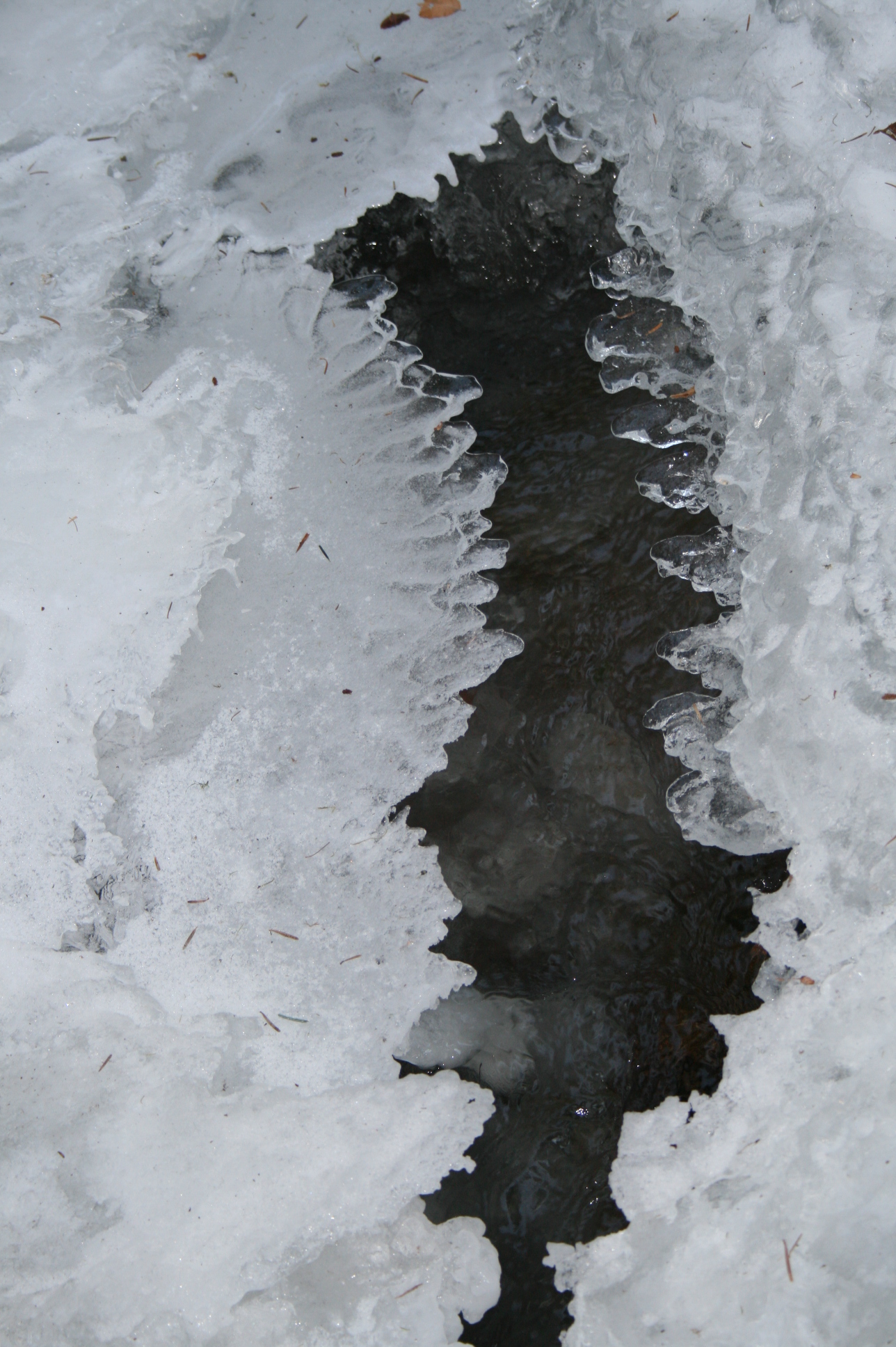 glace 040