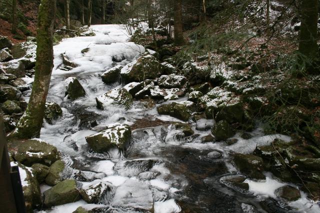 Glace fev 2012 027
