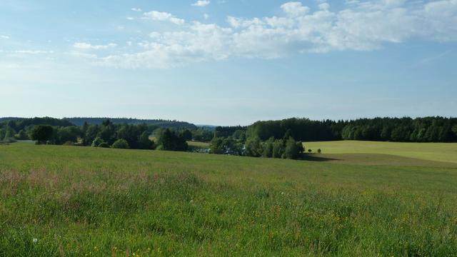 a_020