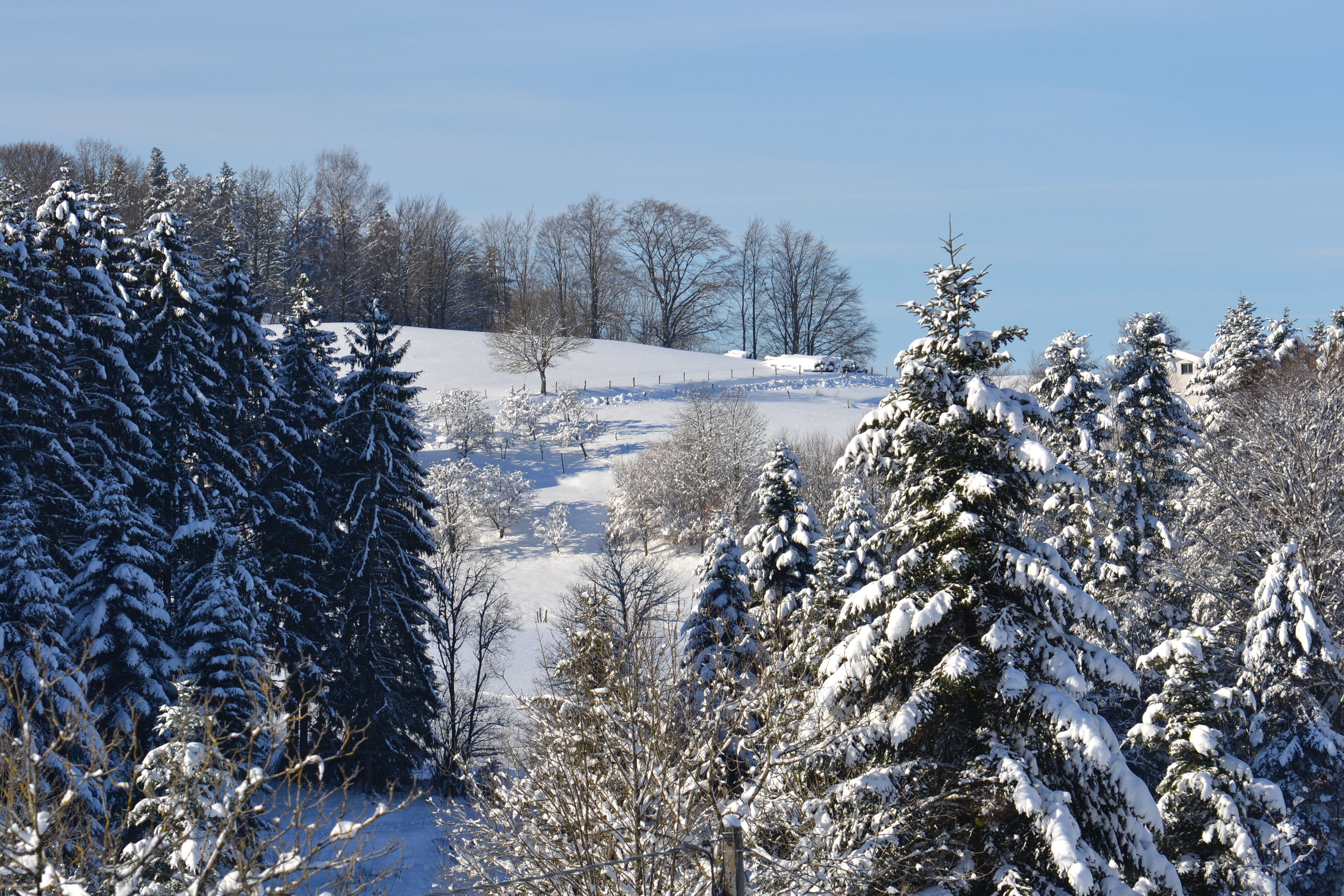 Claudine neige 2013 004