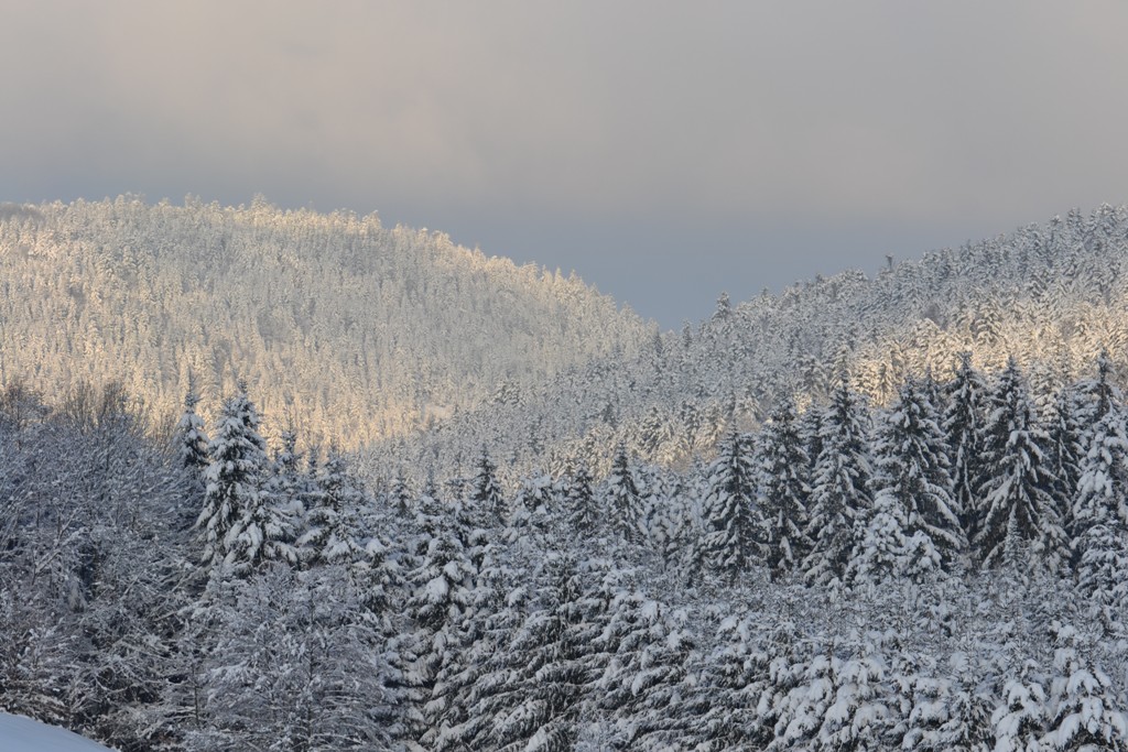 Claudine neige 2013 012
