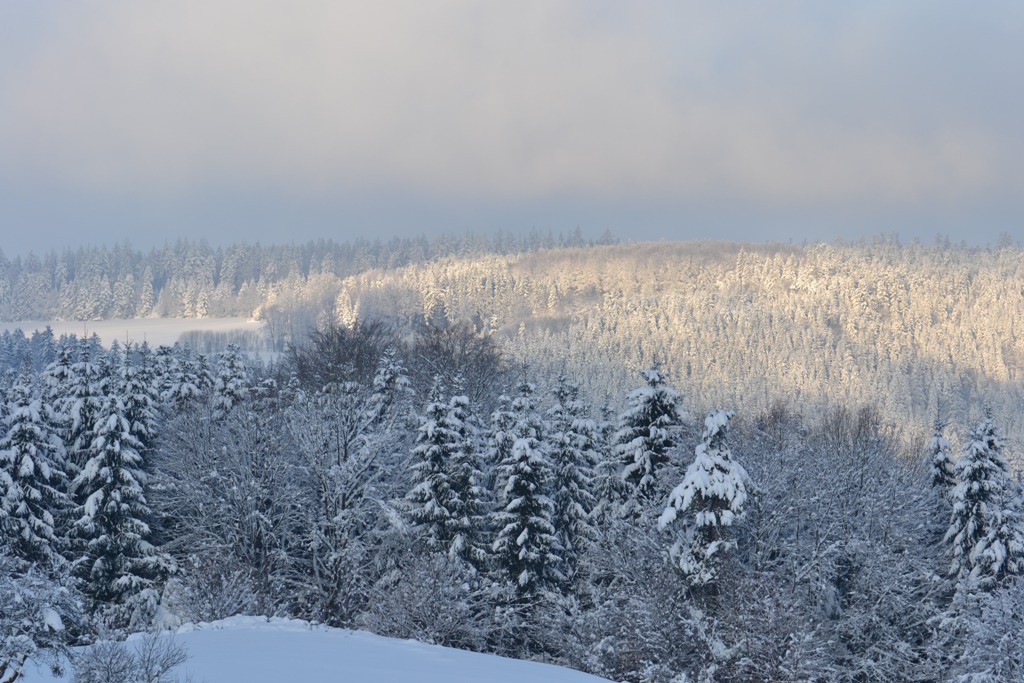 Claudine neige 2013 015