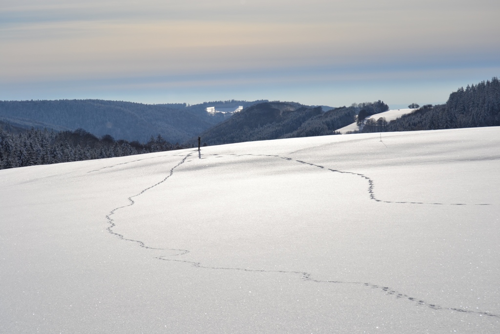 Claudine neige 2013 030