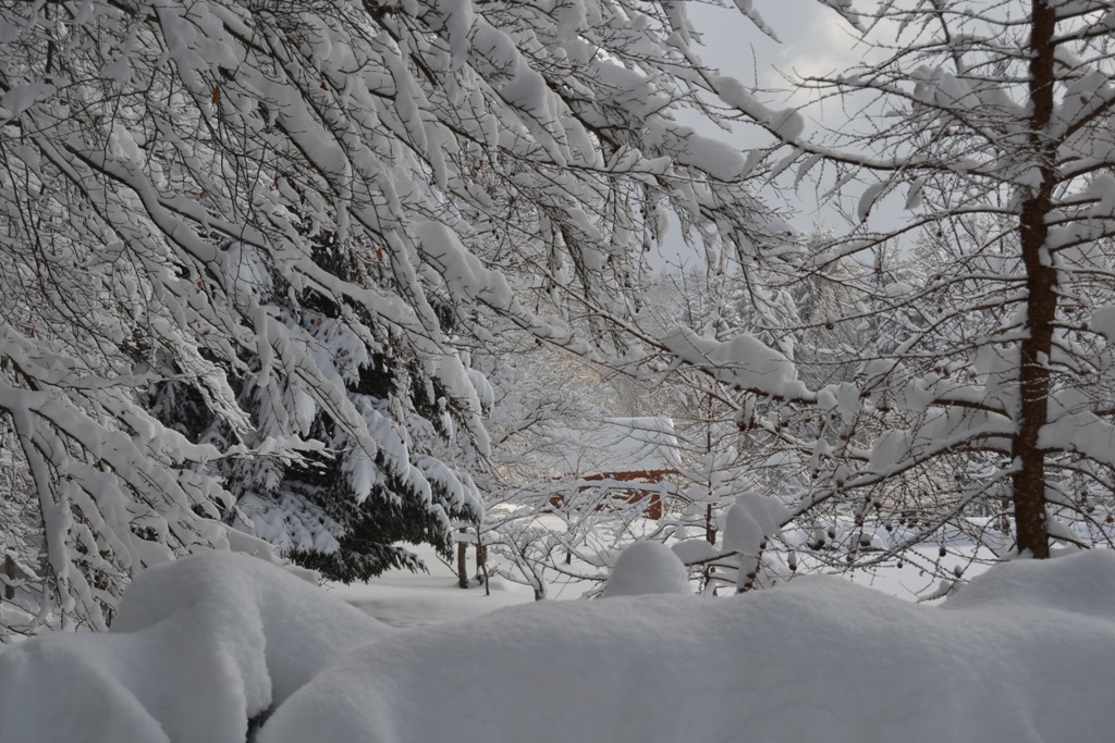 Claudine neige 2013 041