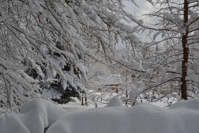 Claudine neige 2013 041