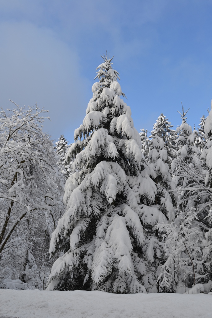 Claudine neige 2013 043