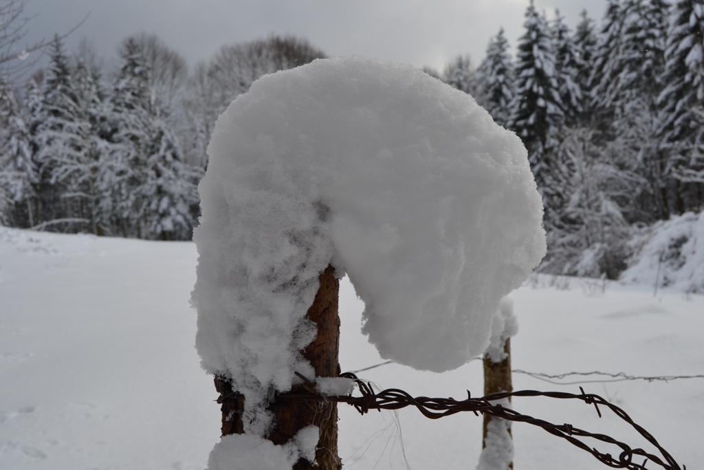 Claudine neige 2013 049