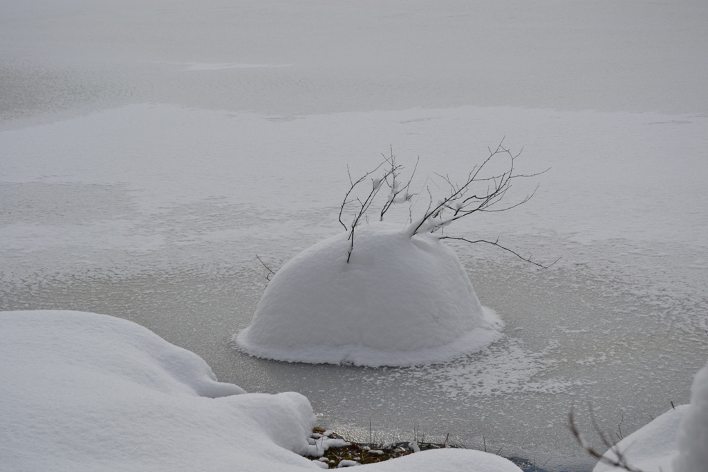 Claudine neige 2013 056