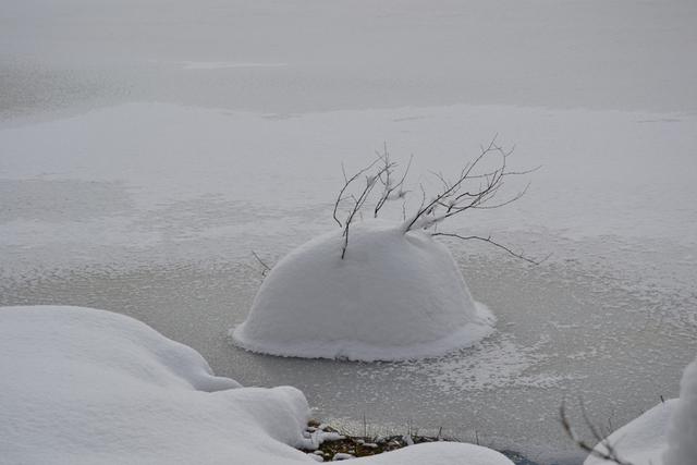Claudine neige 2013 056