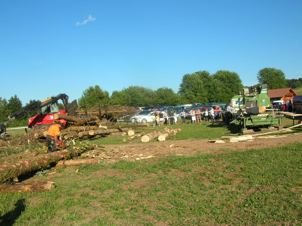 Marche d ete Mecanisation Foret 005
