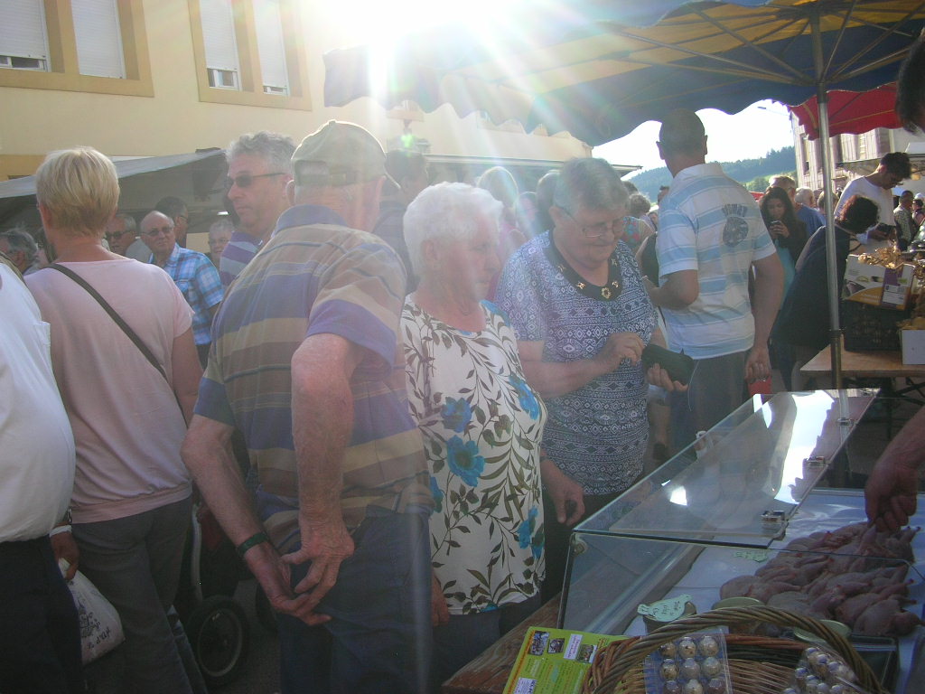 Marche d ete Cheval et marechalerie 031