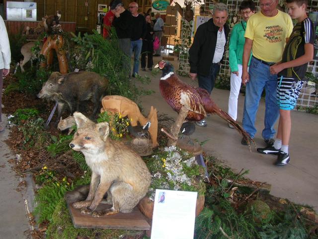 Marche d ete chasse 004
