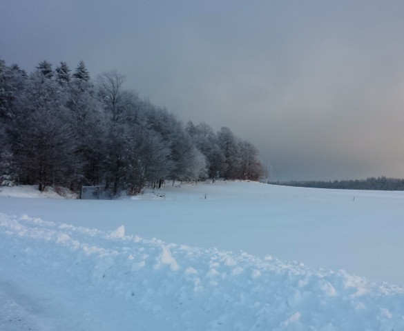 neige 2015 044 (Small)