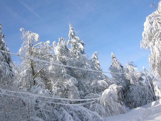 Neige 2 fevrier 2015 002