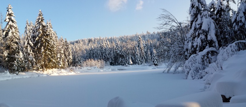 Neige Claudine fevrier 2015 035 (Small)