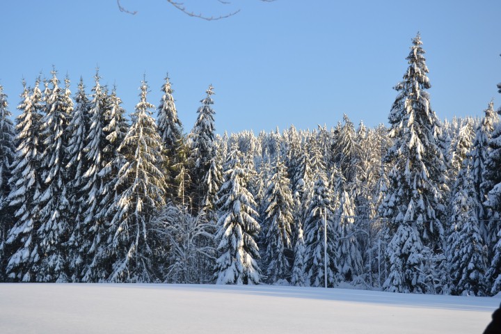 Neige Claudine fevrier 2015 060 (Small)