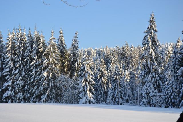 Neige Claudine fevrier 2015 060 (Small)