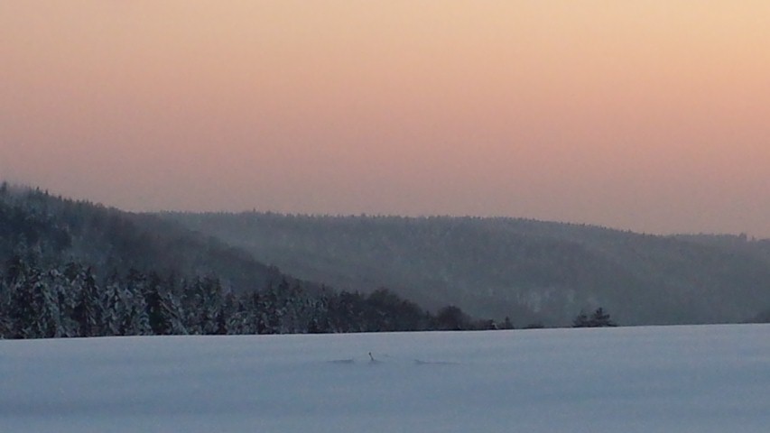 Neige Claudine fevrier 2015 058 (Small)