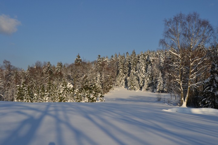 Neige Claudine fevrier 2015 042 (Small)