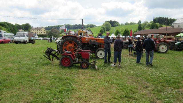 VMA Dimanche 013 (Small)