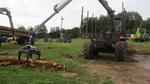 Marche d ete Exploitation mecanique de la foret 020 (Small)