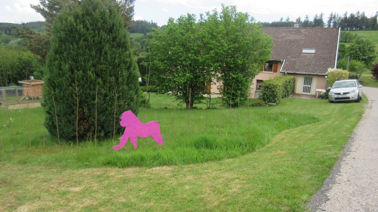 Figue dans le poirier 047 (Personnalisé)