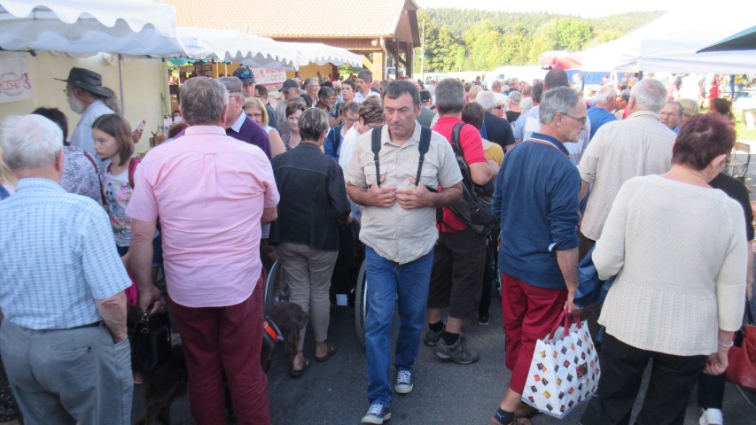 8 marche d ete Bluet 102 (Small)