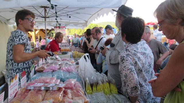8 marche d ete Bluet 103 (Small)