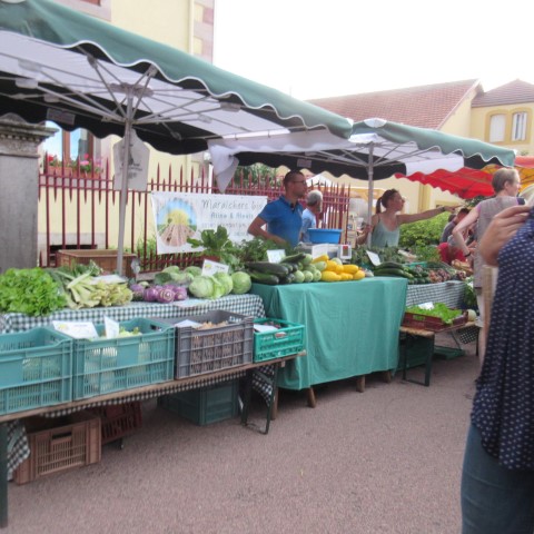IMG_1162 (Small)
