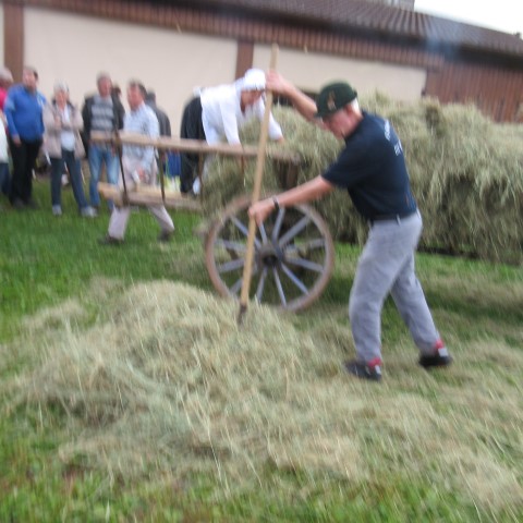 IMG_1541 (Small)