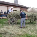 IMG_1542 (Small)