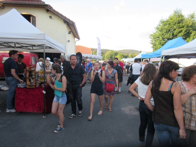 Epinette musique 2018 (76) (Small)