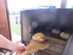 IMG_6460 (Small)