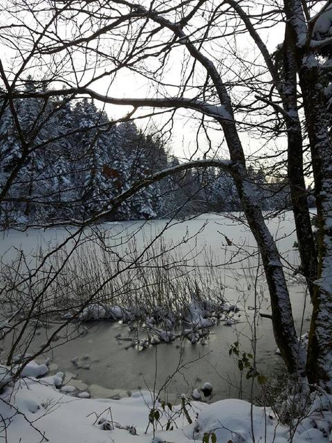 Etang Laurent