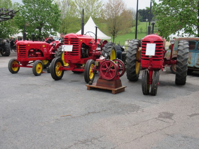 IMG_9264 (Small)