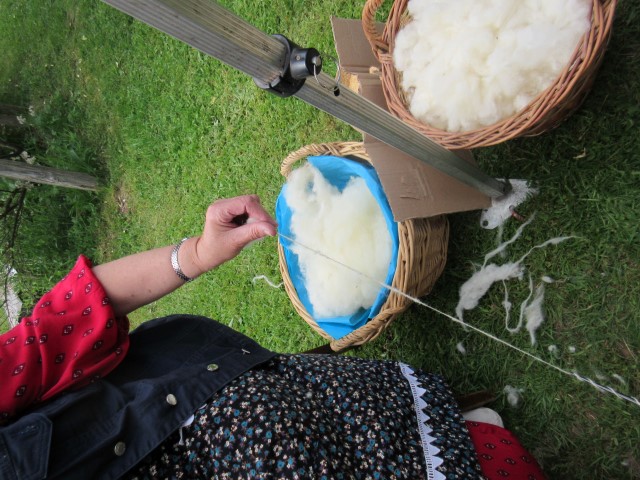 Transhumance 2019 (11) (Small)
