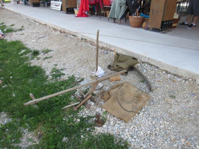 IMG_1014 (Medium)