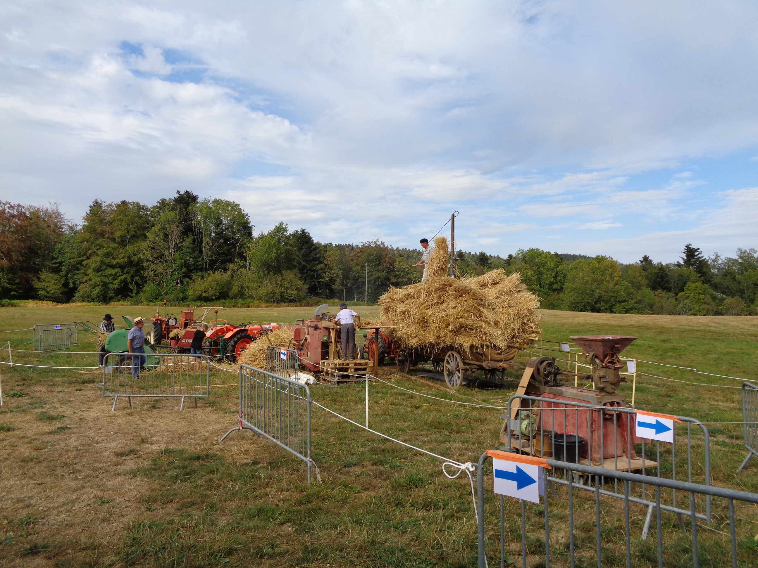 Marche d ete Ble farine (1)