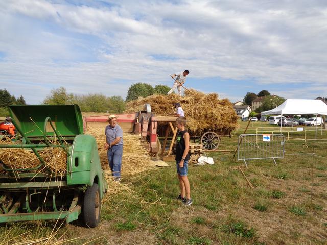 Marche d ete Ble farine (3)