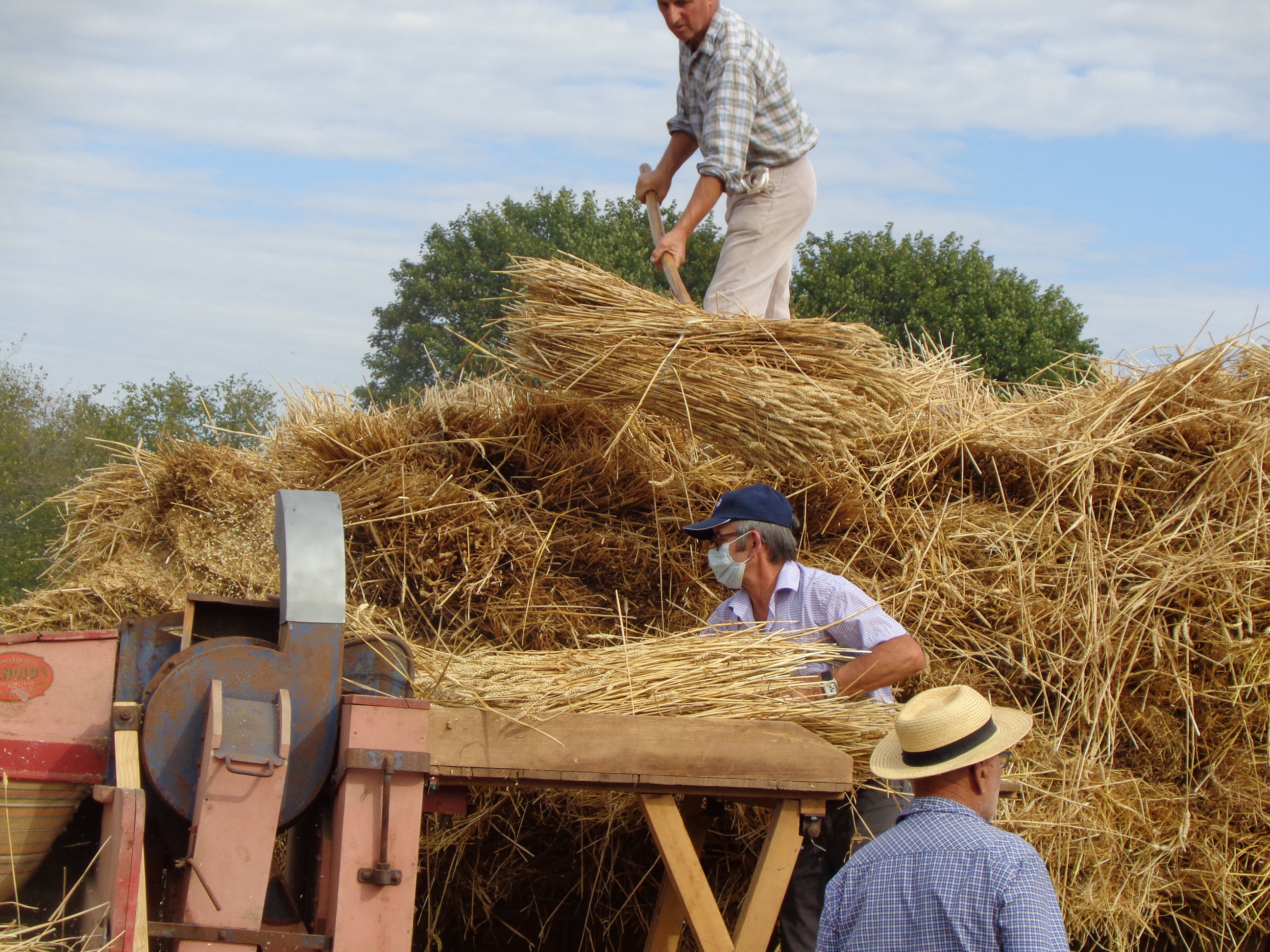 Marche d ete Ble farine (7)