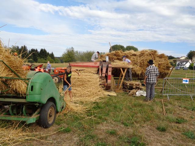 Marche d ete Ble farine (8)