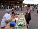 Marche d ete Ble farine (18)