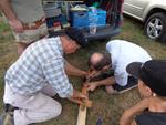 Marche d ete Ble farine (29)