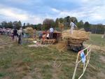 Marche d ete Ble farine (32)