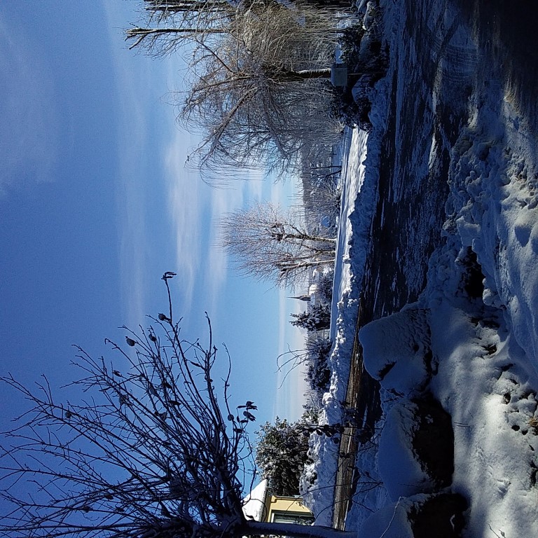 20210104_120007 (Medium)