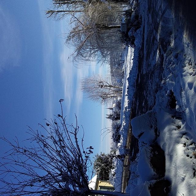 20210104_120007 (Medium)