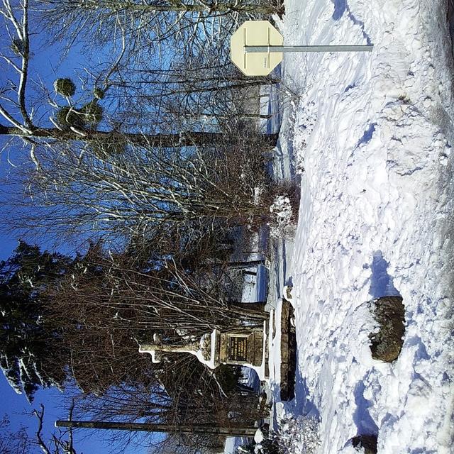 20210104_121009 (Medium)