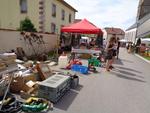 Vieux moteurs 2022 (25) (Small)